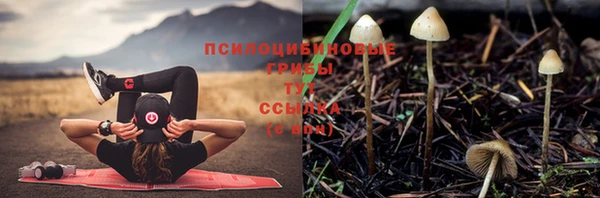тгк Нефтекумск